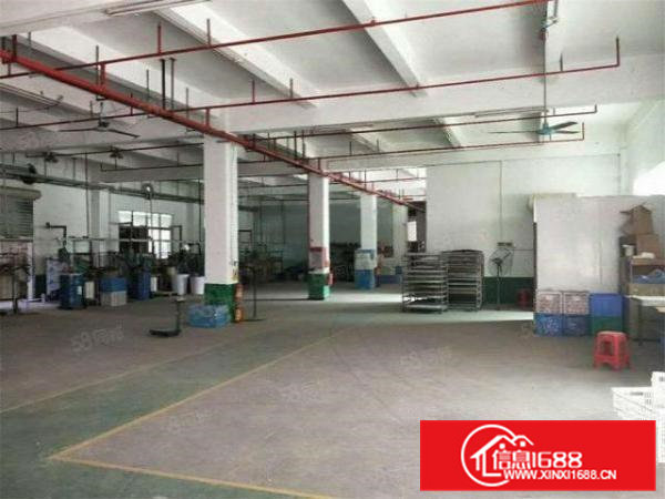 新出大朗松柏朗工业区一楼600方，高度6米，空地大形象好