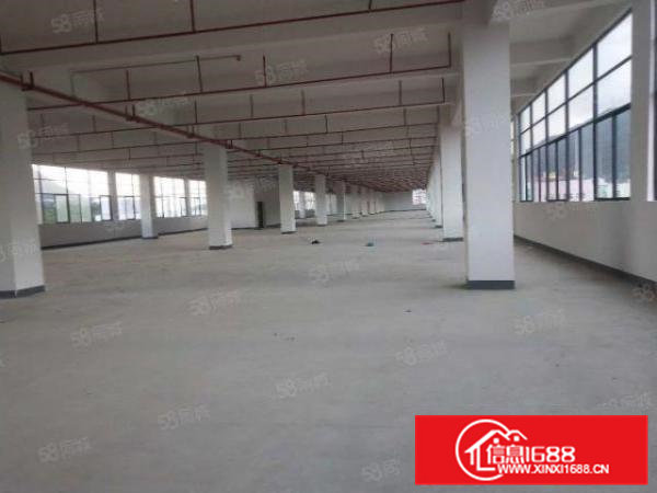 三中新出1200平标准厂房，格局方正，公摊小，急租！！