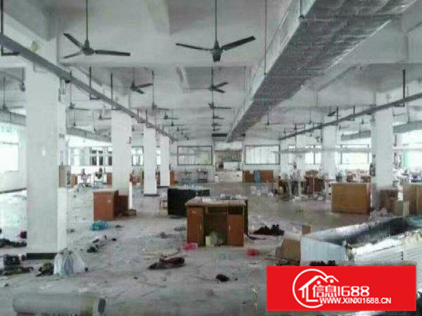 常平独院厂房分租三楼一层3000平方