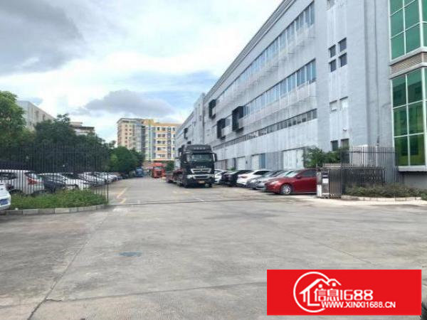 原房东独门独院三层16000平，空地超大