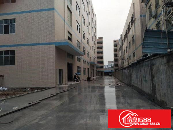 出租龙岗区横岗楼上厂房1200平米带吊顶地坪漆