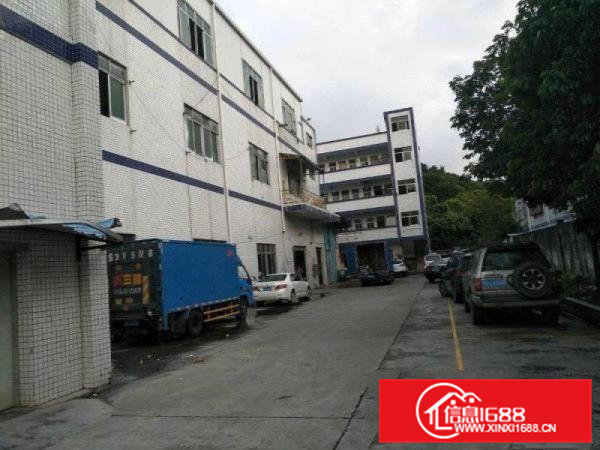 清溪上元新空出一楼200平方，自带办公室水电装修