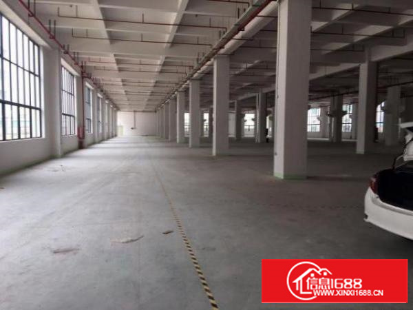 全新标准1招租，形象大气