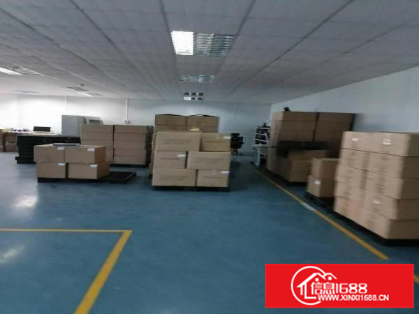 横岗荷坳地铁站新出1800平方带装修厂房