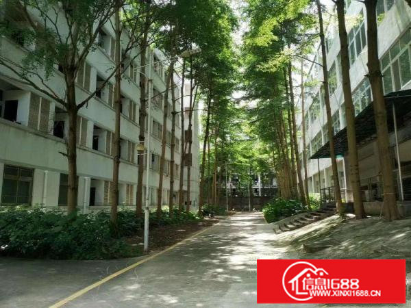 出租龙岗区坪地大型工业区原房东楼上实际面积1000平厂房