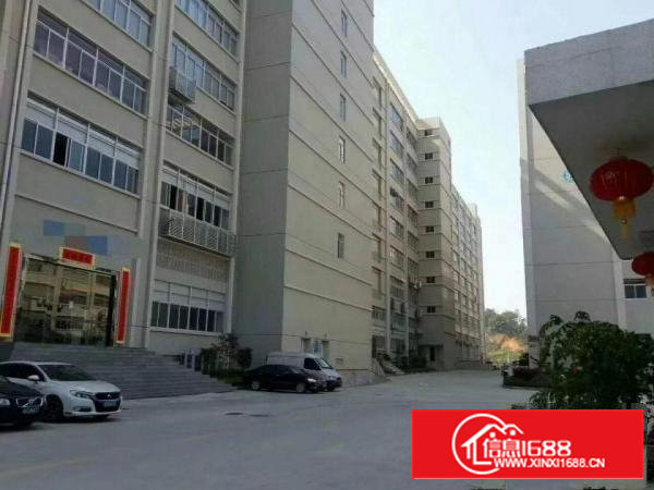 （新）宝安石岩塘头松柏路边700平米整层厂房出租