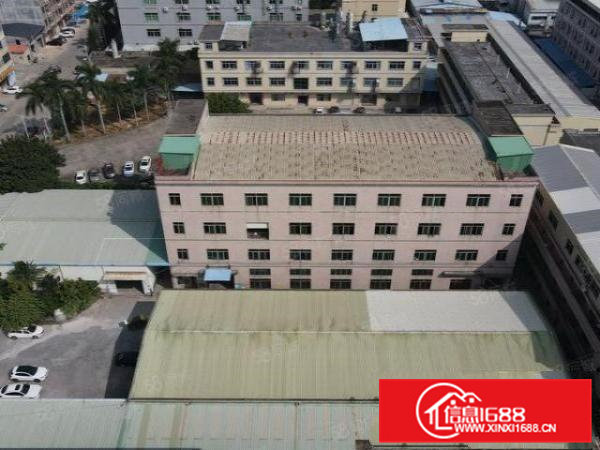 横沥东部快速旁单一层8米独门独院3000平米厂房出租