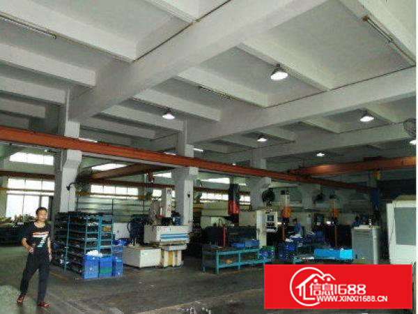 横沥半仙山新出独院一楼1000平方带行车厂房出租