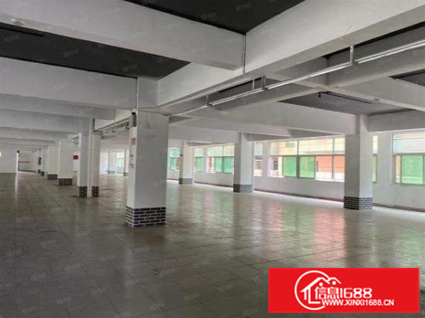 虎门村头社区2400平一楼厂房房东直租大小可分