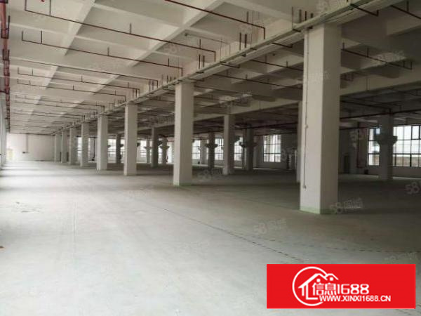 万江简沙洲新建高标重工业厂房5400每层，可以分租可办环评