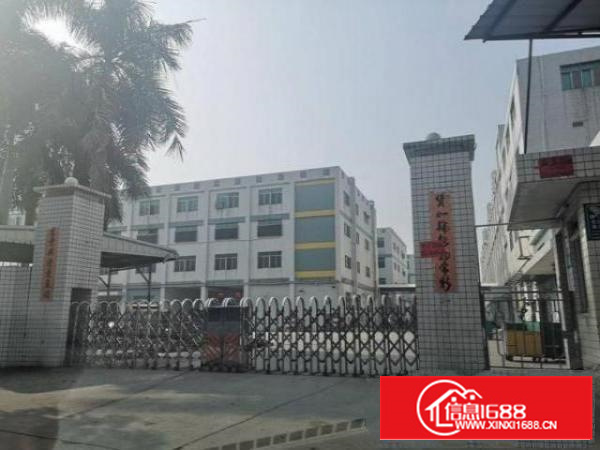 石排横山新出原房东楼上650平方带精装修招租