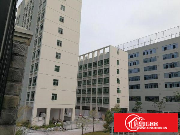 大浪服装基地新出4楼整层原房东1100平出租形象好