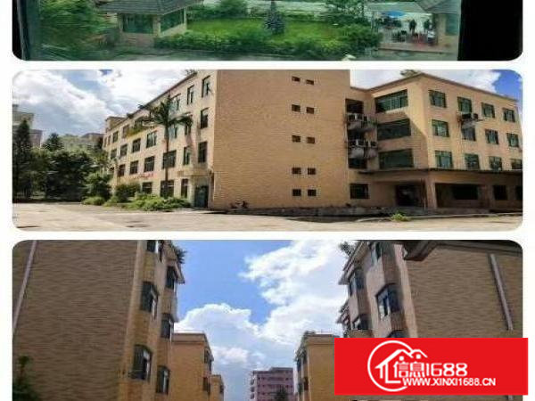 真实:牛湖独院12850平方业主直租