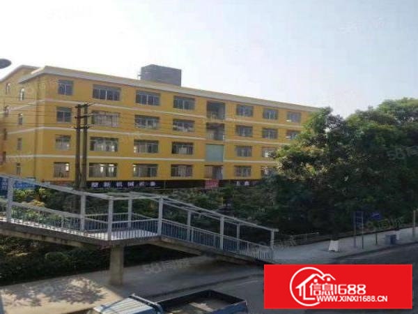 大岭山新出全新厂房出租一栋，单一层950，形象好位置佳