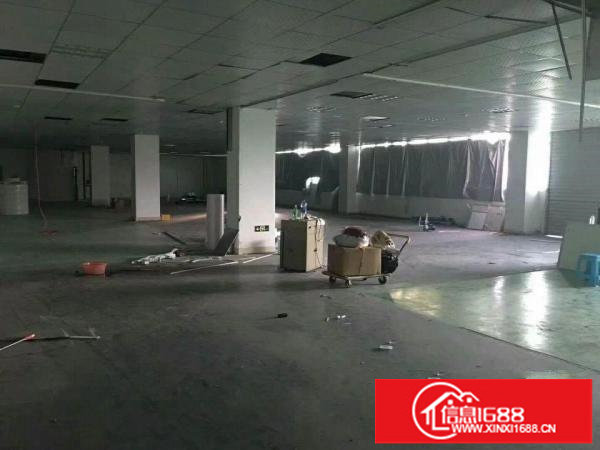 龙华汽车站附近新出精装修厂房1250平