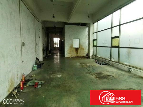 大岭山杨屋楼上现成水电350平可办环评