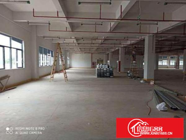 出租坪山新出原房东红本厂房实际面积出租，261平起分