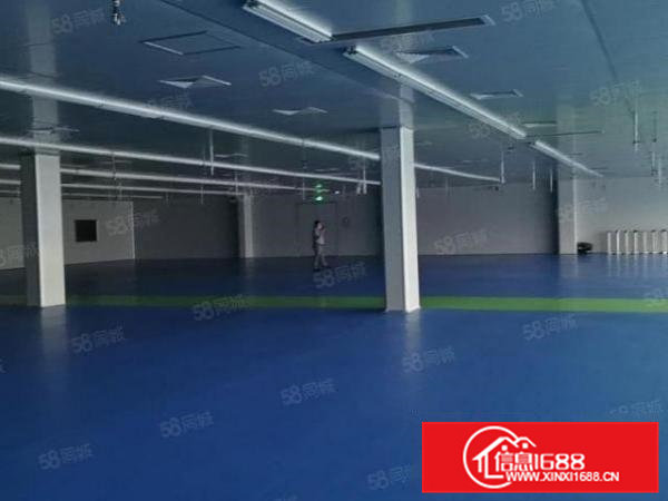 大朗镇新出电子行业厂房，全新地坪漆无尘车间，3060平方。