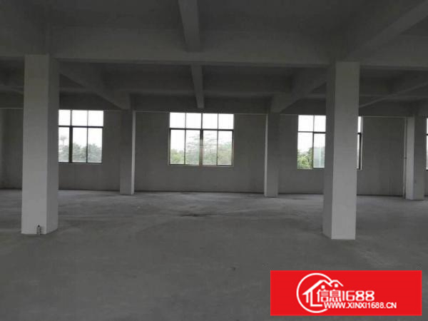 里水办公仓库厂房出租600平方两层