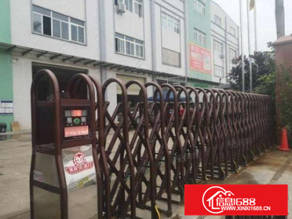 狮山科技园B区标准框架结构一楼1500平方水电到位