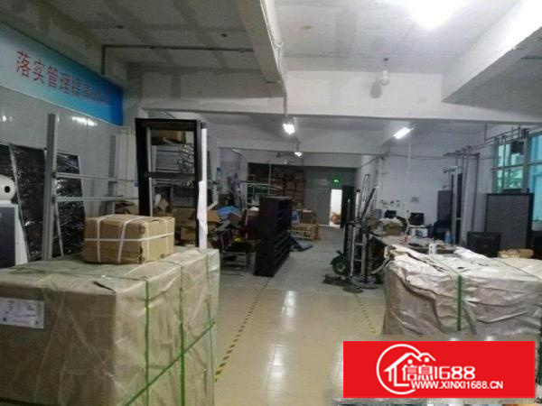 坂田上雪科技园东区8号b栋2厂房600平米