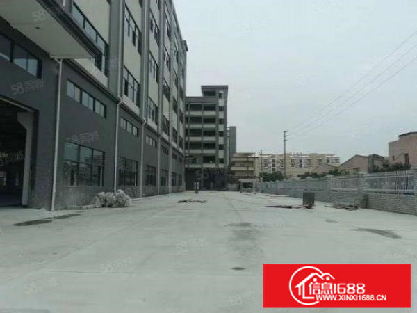 茶山新出原房东一楼1700平方，带牛角，2000平方空地