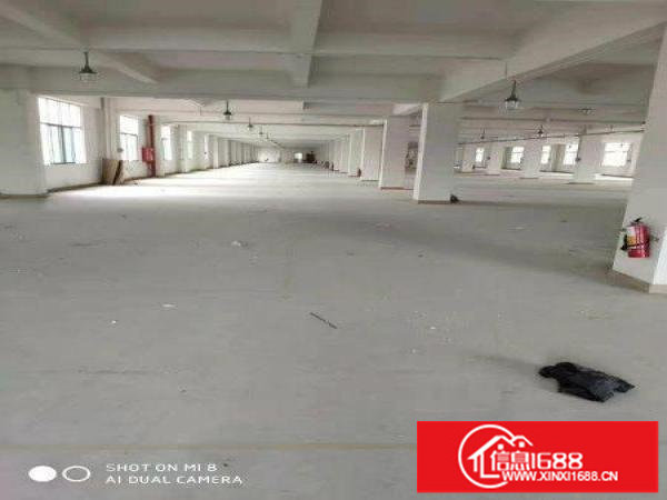 坪地汇鸿鑫物业六联北通道边独院厂房分租