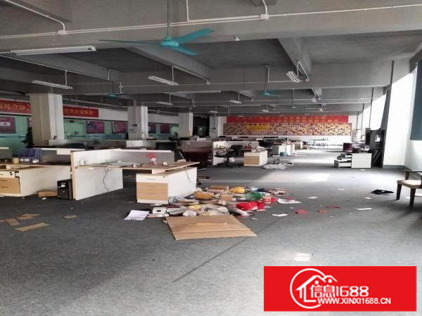 十万火急！横岗一楼1390平带精装修厂房出租可分租