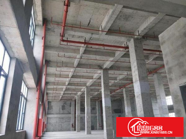 坂田单层高6.5米9000平米整栋便宜出租仅租40元/平