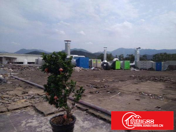 月塘楼上500平方厂房带喷油环评出租