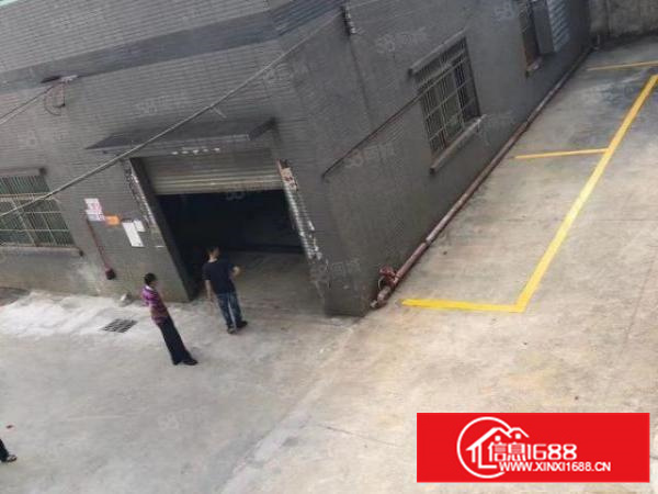 石碣刘屋工业区新出独院厂房大小可分租