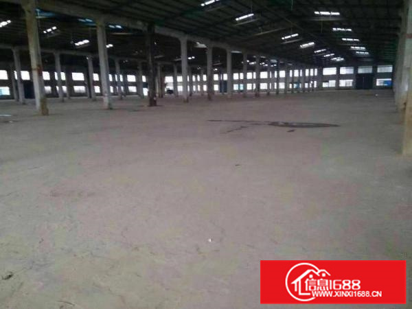 惠阳秋长新出大面积刚够厂房3栋，可以分租，滴水7米