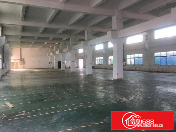 原房东国有证红本独院厂房出租