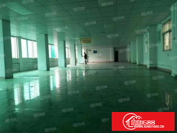 石排横山村280平厂房出租，无公摊