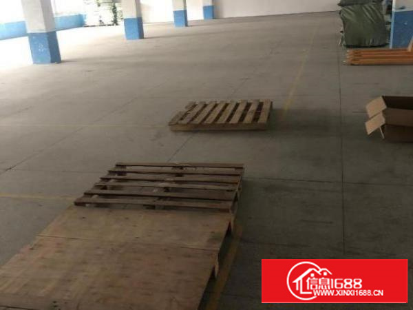 公司空余面积分租，实际面积无公摊