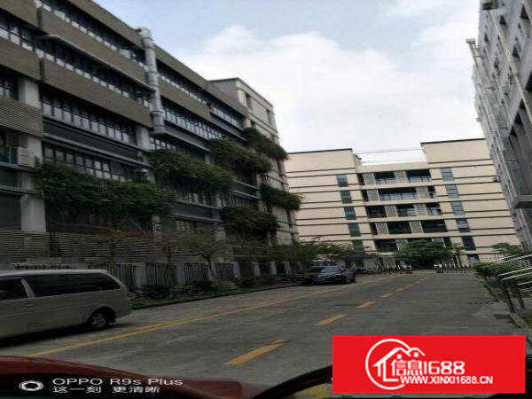 低碳城工业园区分租约2000平方