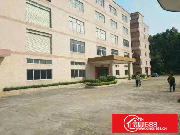 观澜樟坑径新出楼上800平带装修厂房出租