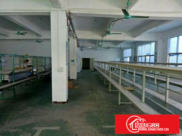 凤岗油甘埔精品独院2800平米招租