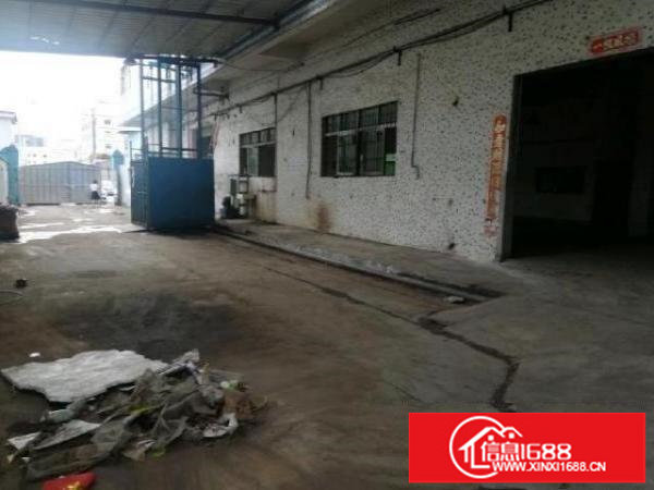 平湖鹅公岭独院一楼整层800平无公摊