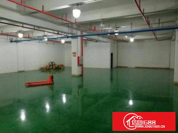 惠阳新圩长布小面积带装修厂房500平米