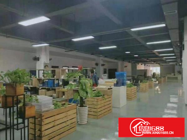 出租龙岗区龙岗新出3楼430平方装修厂房水电齐全