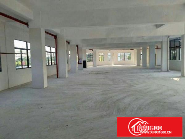 高埗独院标准一楼厂房出租500平方出租配电按需，消防水电齐全