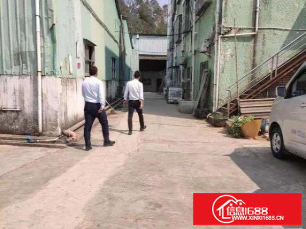 大岭山新出独门独院7000平单一层钢构厂房