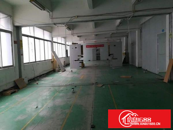 龙山工业区100-500平米厂房招租