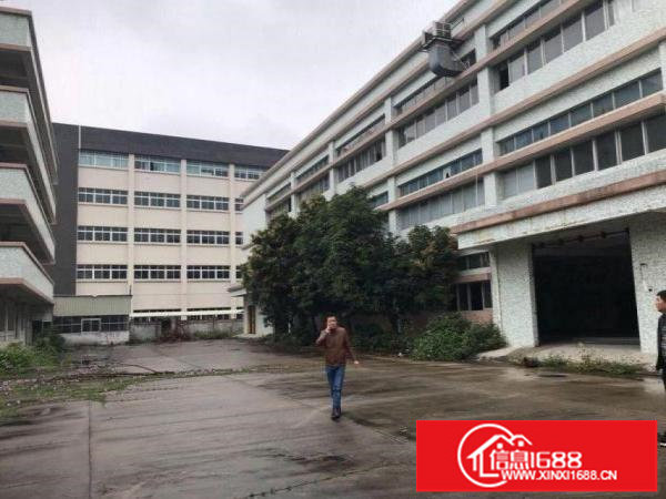 龙岗独门独院三层每层2000方整栋出租可分租