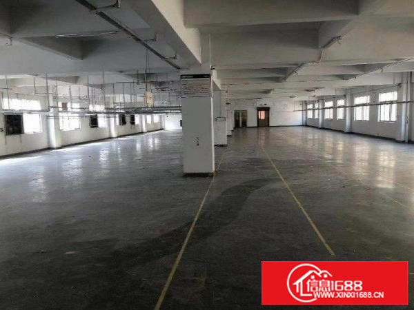 原房东独院厂房，一栋两层3600平方米，消防喷淋，空地超大