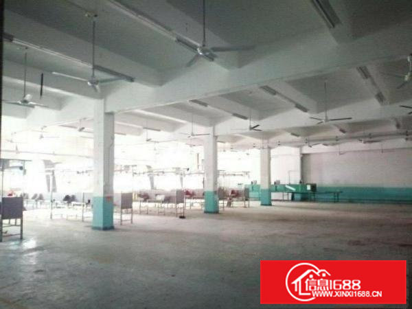 清溪高速路口新出三楼一整层3000平方出租一部三吨货梯