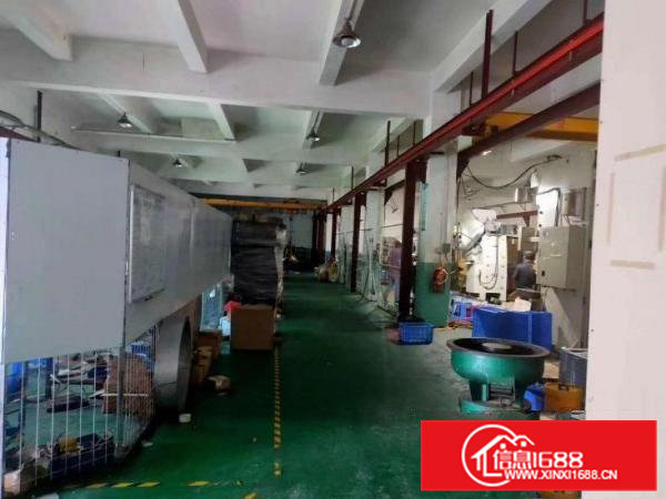 清溪三中花园式原房东标准一楼1300平实际出租