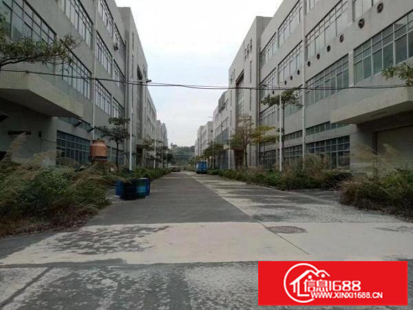 龙岗中心城龙岗五联厂房1200平米