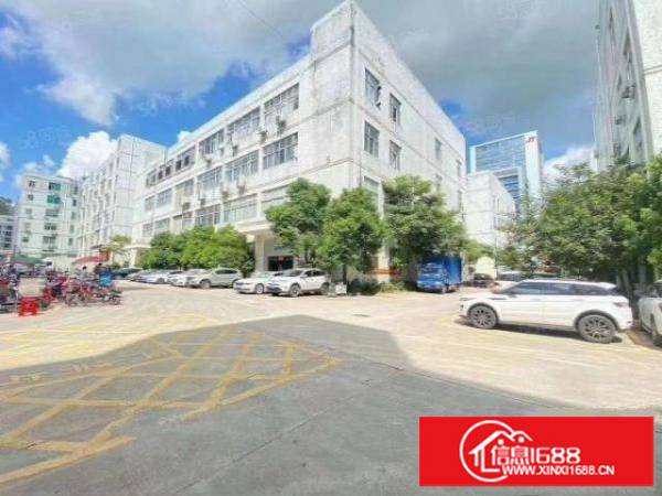 沙井黄埔新出2楼1600平，公摊小，精装修